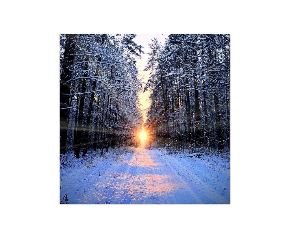 Leinwandbild 80x80cm Wald Winter Schnee Sonnenaufgang