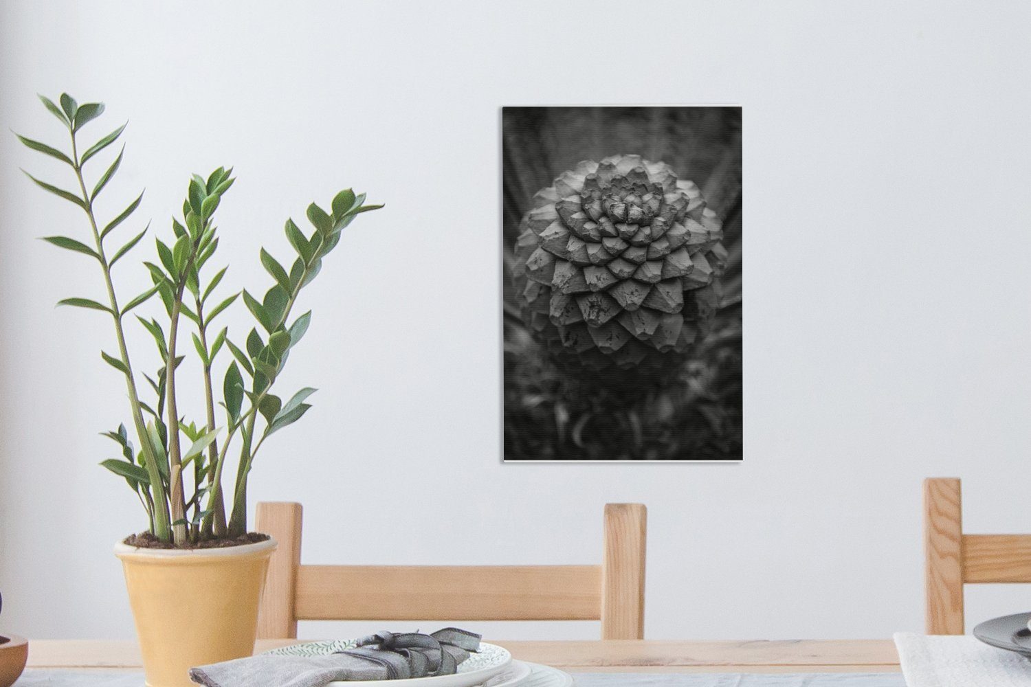 Zackenaufhänger, (1 bespannt Schwarz-Weiß-Fotografie fertig cm OneMillionCanvasses® Leinwandbild Leinwandbild einer Sagopalme, inkl. St), 20x30 Gemälde,