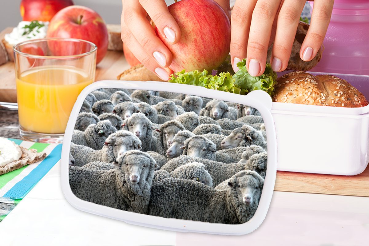 MuchoWow und und für Jungs - - Brotdose, Mädchen Lunchbox (2-tlg), Schafe Erwachsene, weiß Tiere für Kunststoff, Schafsfell, Brotbox Kinder
