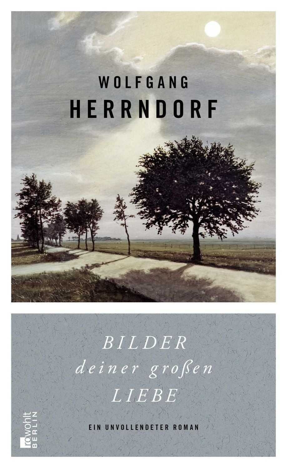 Bilder deiner großen Liebe / Wolfgang Herrndorf