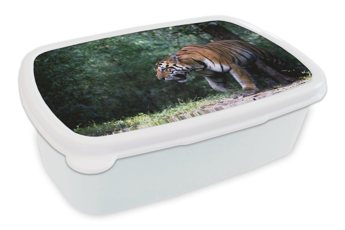 MuchoWow Lunchbox Tiger - Wald - Bäume, Kunststoff, (2-tlg), Brotbox für Kinder und Erwachsene, Brotdose, für Jungs und Mädchen weiß