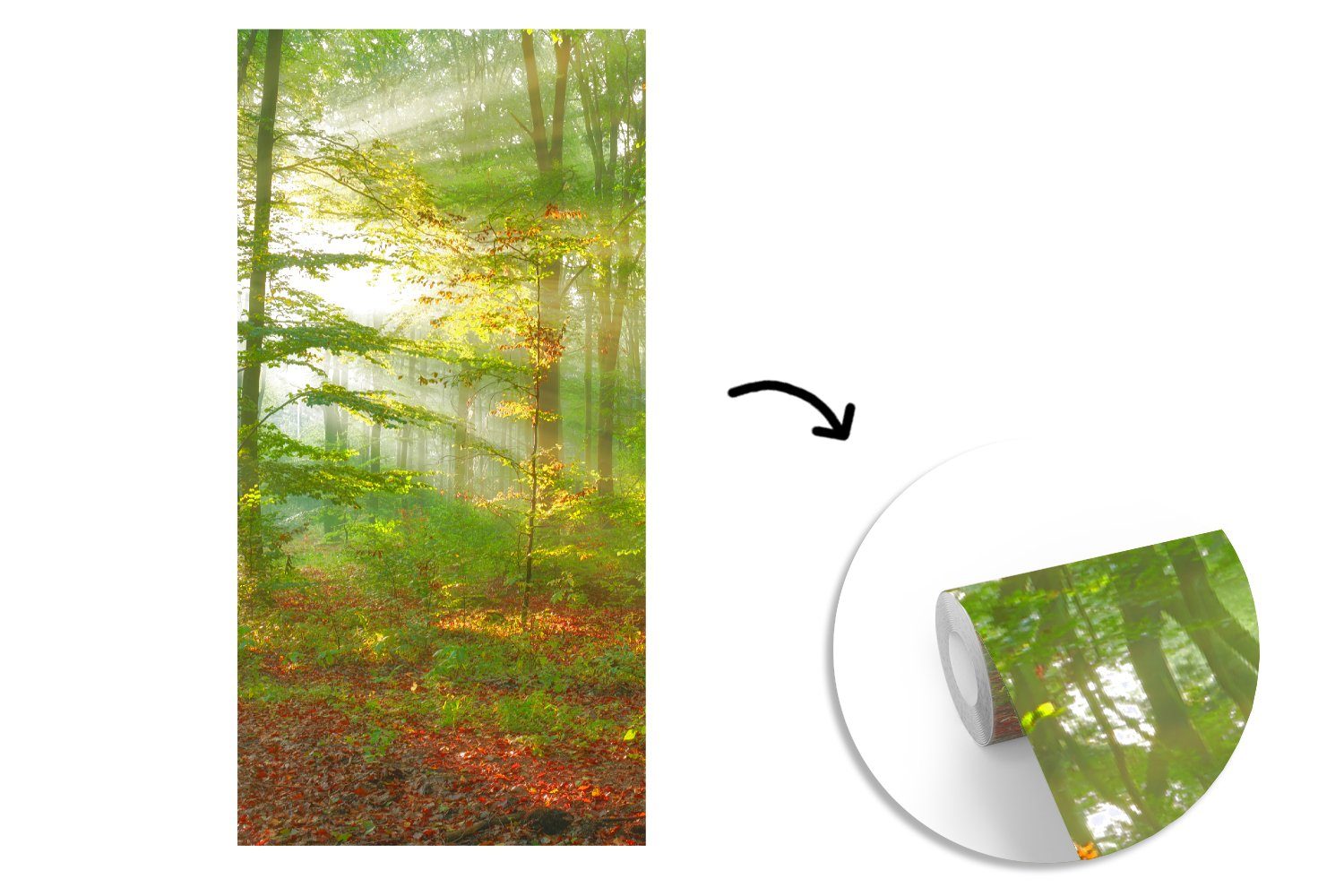 - MuchoWow für St), Vliestapete Herbst, - Bäume bedruckt, (2 - Fototapete Natur Fototapete Küche, Wohnzimmer Schlafzimmer Matt, Sonne - Wald