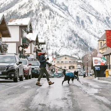 Ruffwear Hundemantel Steppjacke Stumptown Jacket Metolius Blue