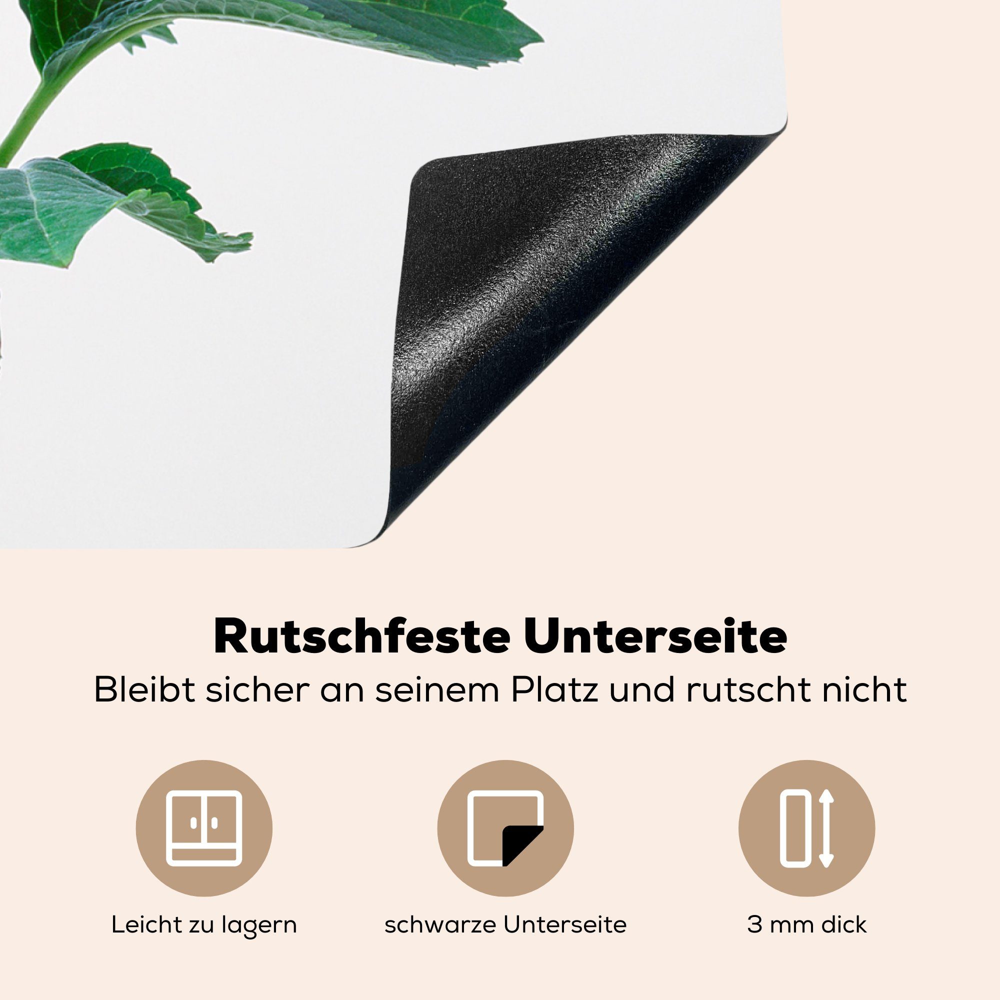 71x52 Schutz Ceranfeldabdeckung (1 Herdblende-/Abdeckplatte MuchoWow für Vinyl, die tlg), Hortensie Induktionskochfeld blau, cm, küche,