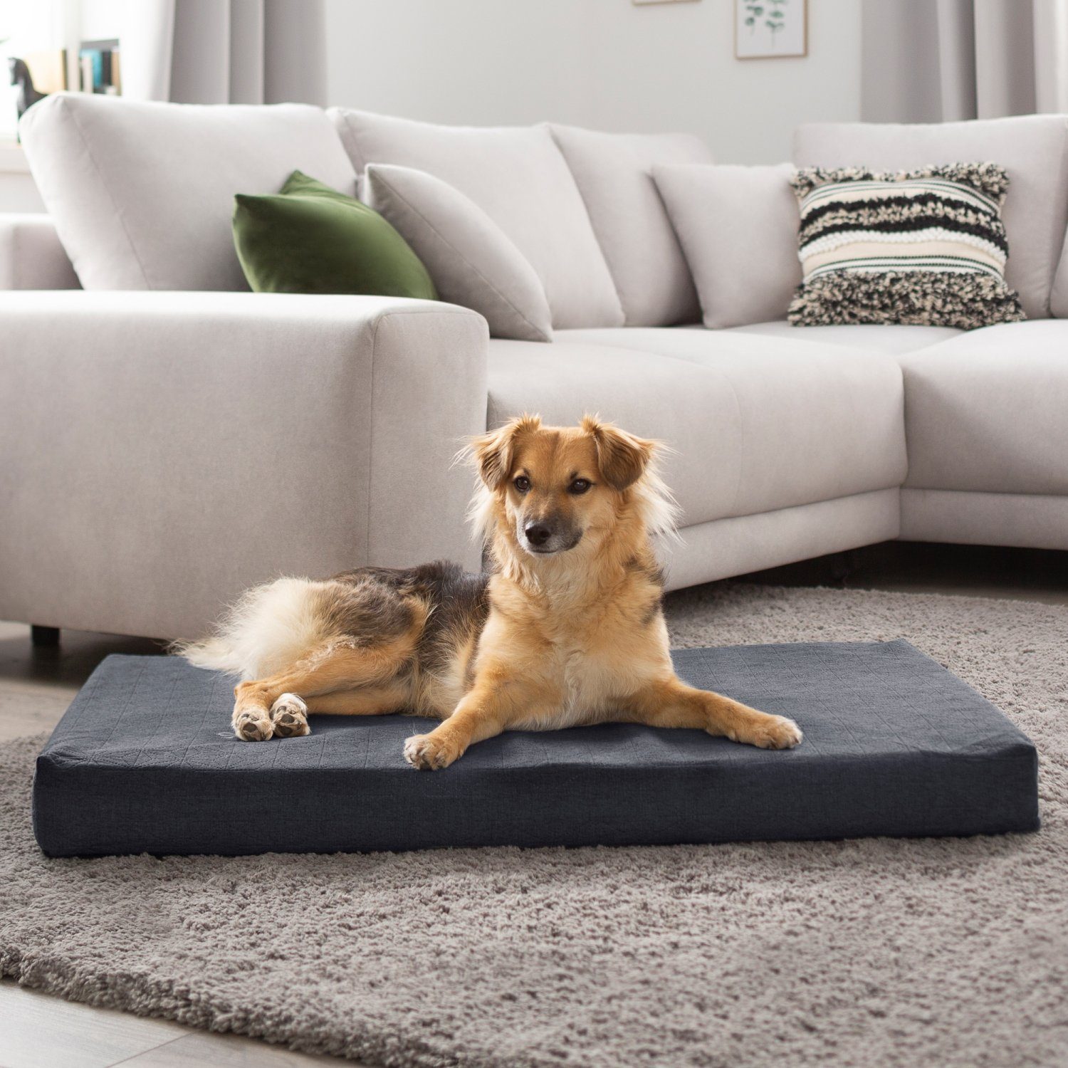 PETSTUFF Tierkissen Hundebett Hundematte Hundekissen Tierkissen, günstig online kaufen