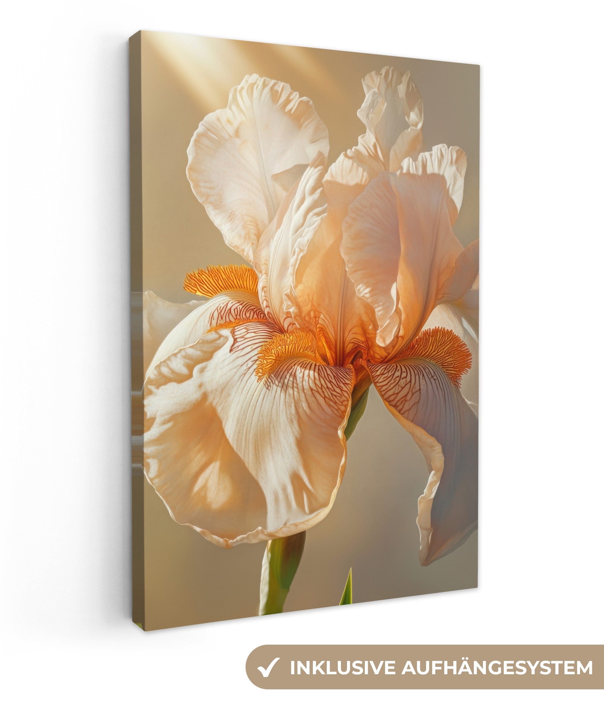OneMillionCanvasses® Leinwandbild Nahaufnahme - Orange - günstig online kaufen