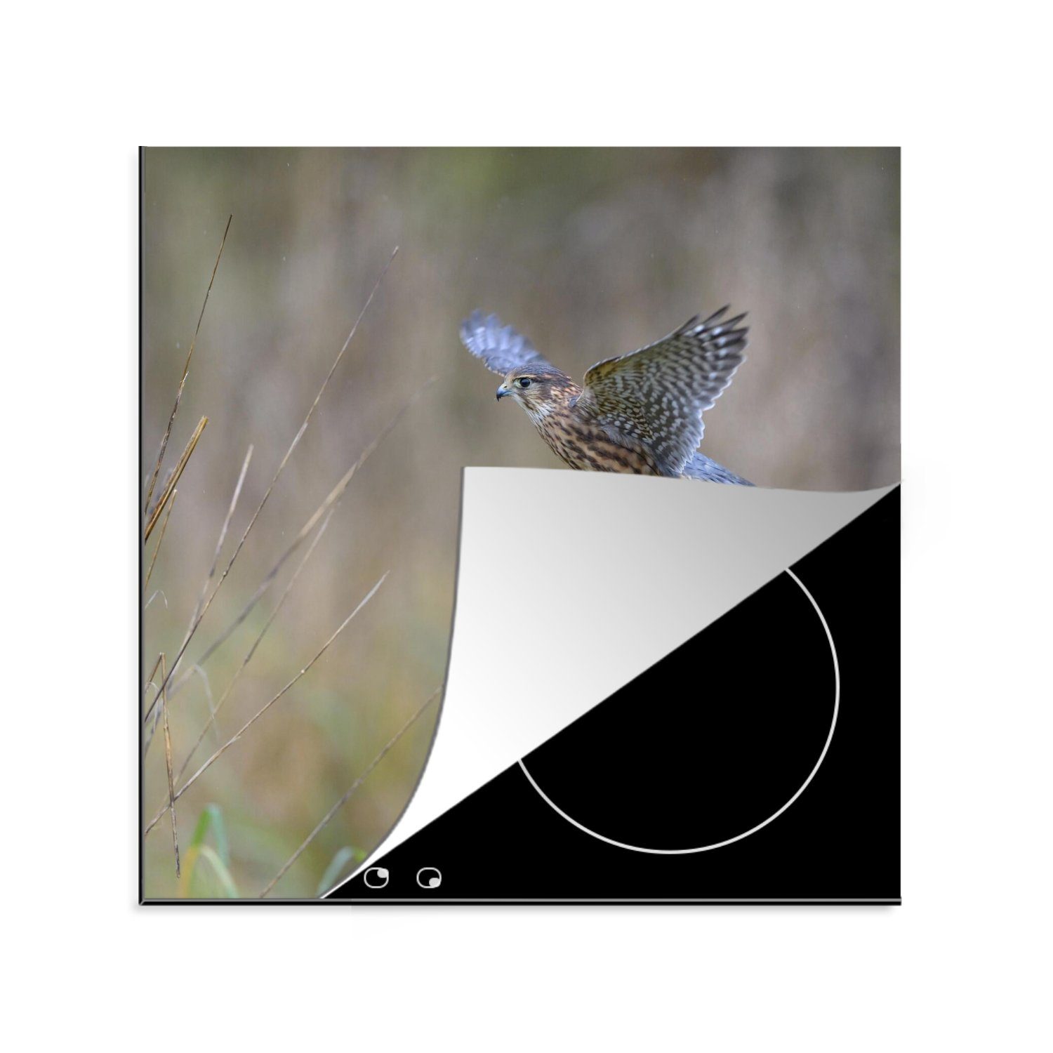 MuchoWow Herdblende-/Abdeckplatte Merlin schlägt mit den Flügeln, Vinyl, (1 tlg), 78x78 cm, Ceranfeldabdeckung, Arbeitsplatte für küche