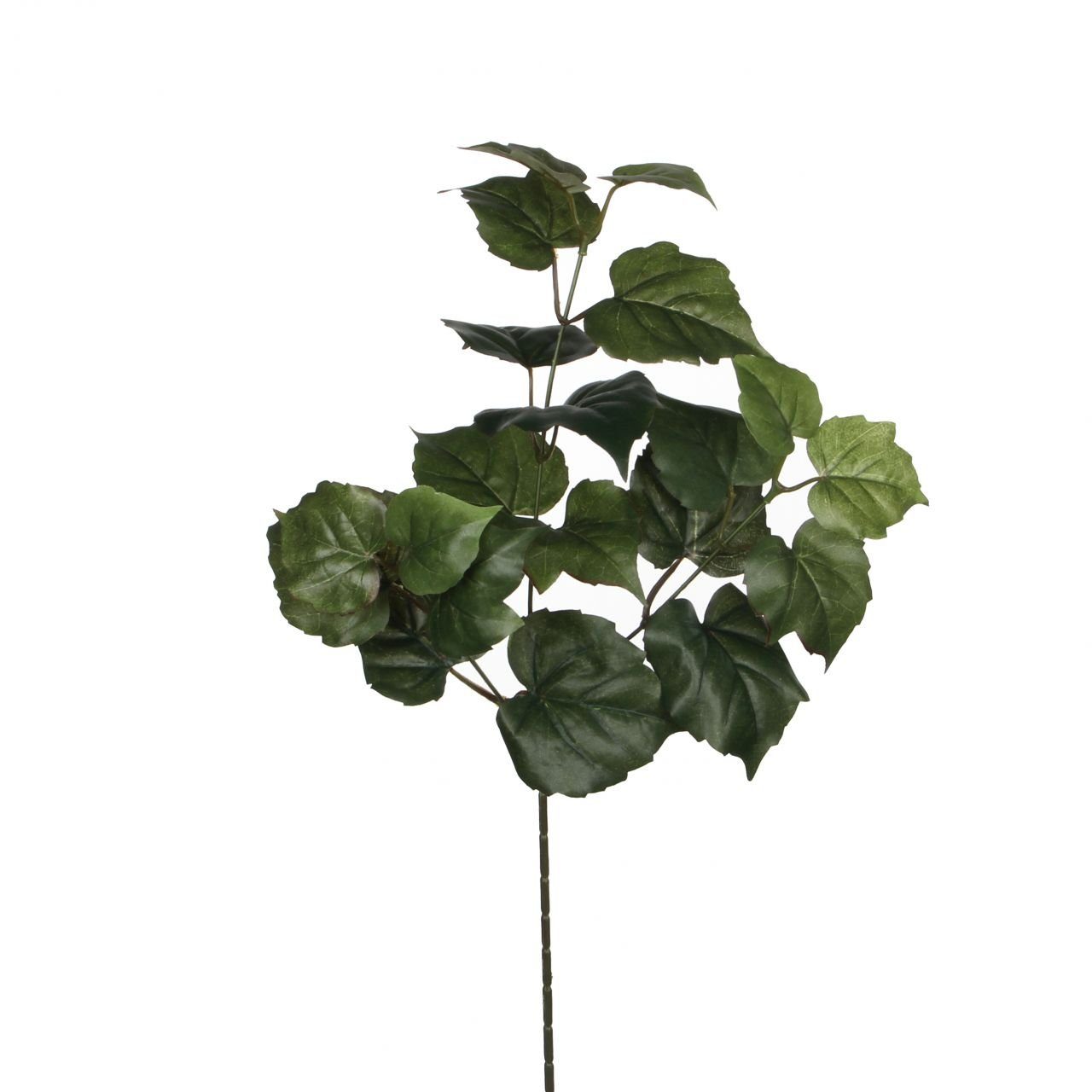 Kunstpflanze Mica künstlicher Baumwollzweig Baumwoll grün, 58cm, Mica Decorations