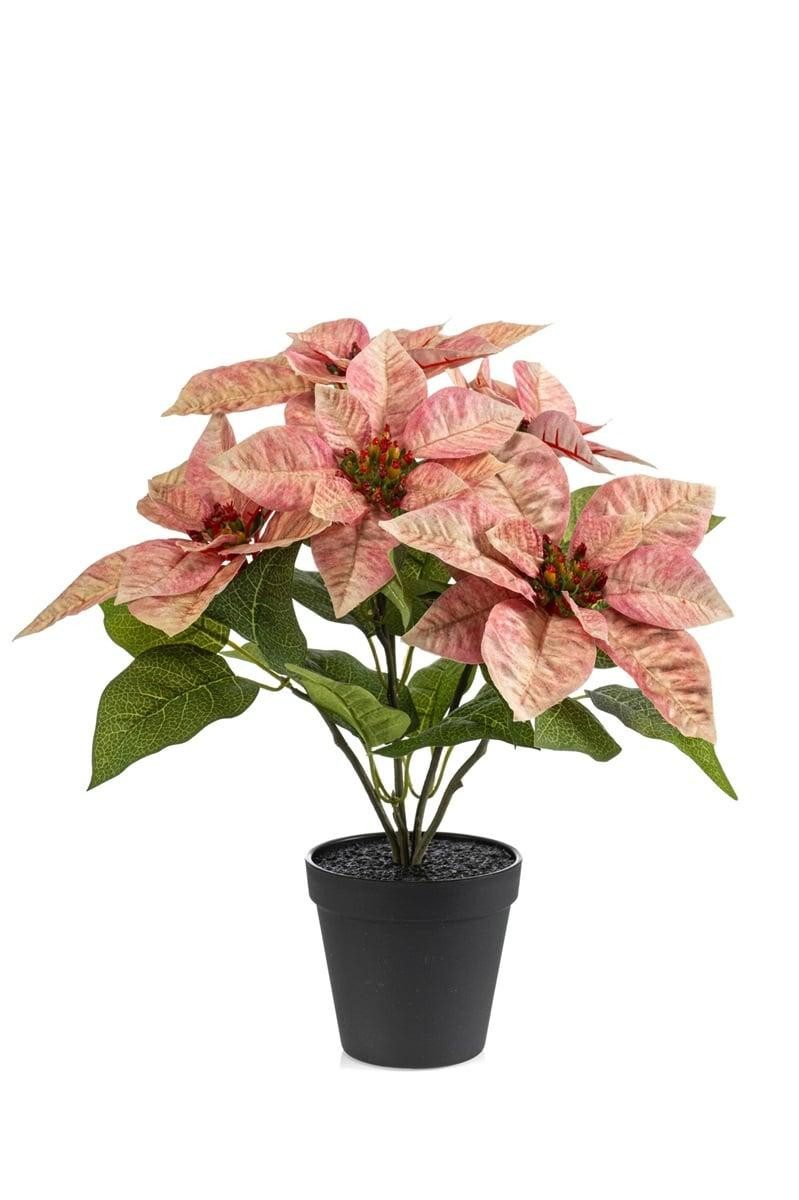 Kunstblume Weihnachtsstern GRULEN im Dekotopf, pfirsich, 40cm Weihnachtsstern, artplants, Höhe 40.0 cm