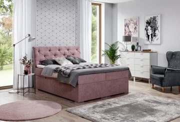 yourhouse24 Boxspringbett BALVIN Designerbett Hotelbett mit Bettkasten Kontinentales Bett