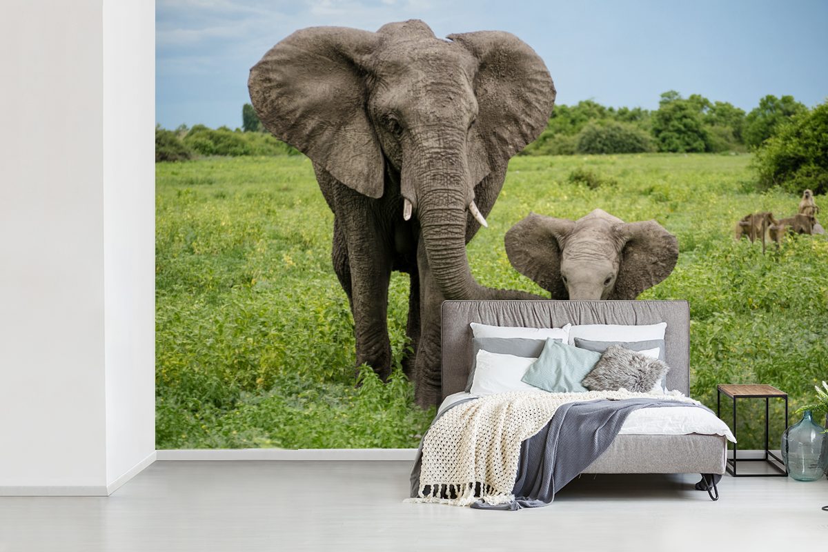 MuchoWow Fototapete Elefant - Natur Wohnzimmer, Matt, (6 Tapete bedruckt, St), Vinyl Wallpaper - Park, Kinderzimmer, für Schlafzimmer