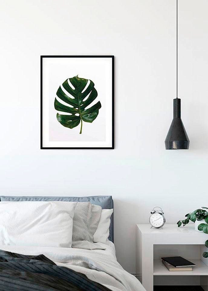 Komar Bild Monstera Leaf, Blätter, Pflanzen (1 St), Wandbild zur Dekoration - ohne Rahmen