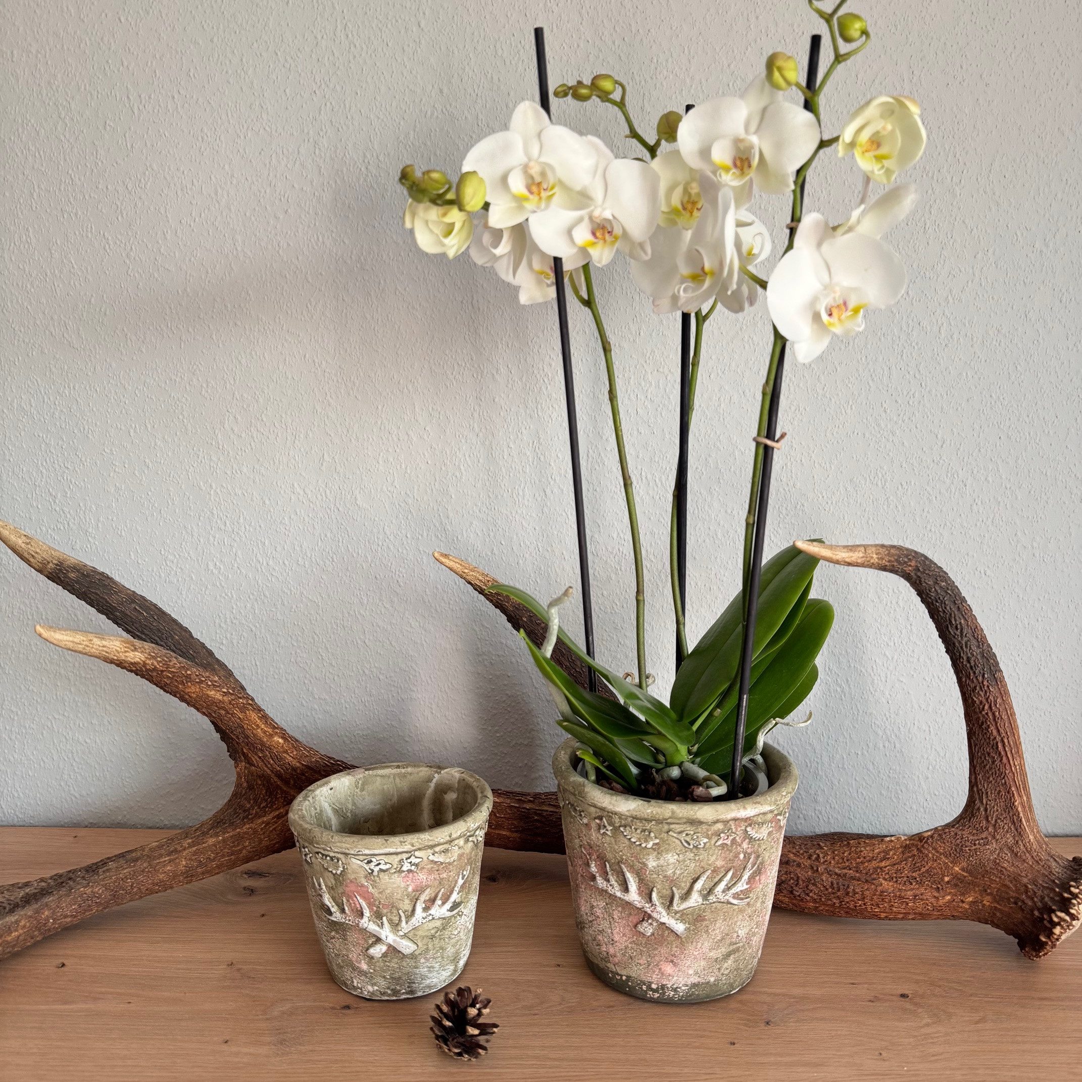 Online-Fuchs Blumentopf 2 Blumentöpfe im Set mit Hirschgeweih im Vintage Look (für Blumen, Pflanzen und Kräuter), Hirschgeweih und Blätter im 3D-Design