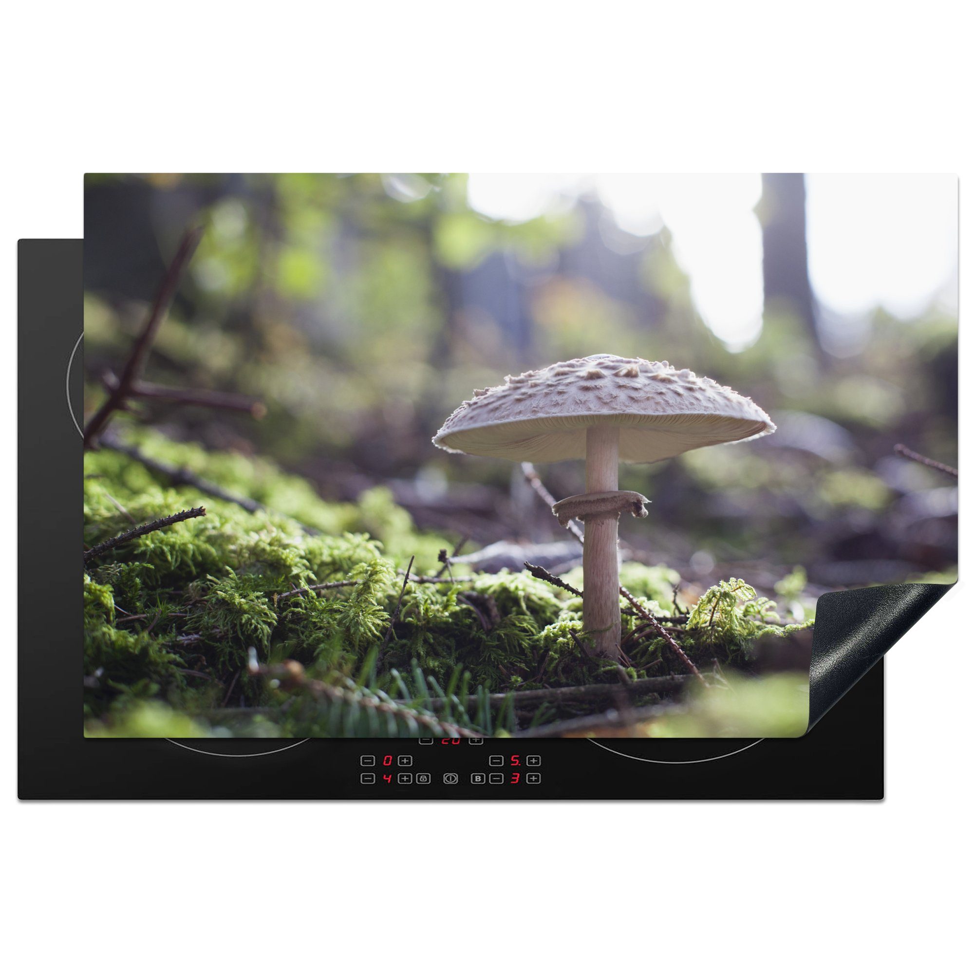 81x52 Wald, Induktionskochfeld (1 Herdblende-/Abdeckplatte Pilz die in tlg), Vinyl, Ceranfeldabdeckung Schutz einem für MuchoWow küche, cm,