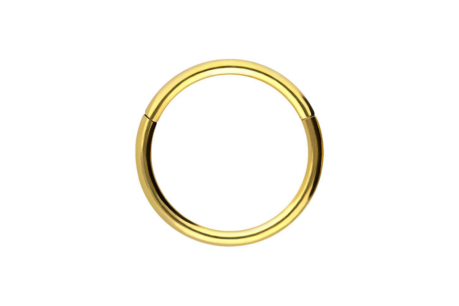 PIERCINGLINE Nasenpiercing Chirurgenstahl Segmentring Clicker Ohrpiercing S günstig online kaufen