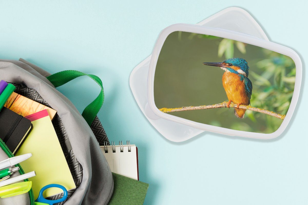 für Lunchbox Eisvogel weiß Zweig Kinder Erwachsene, Blätter - und (2-tlg), Moos, - Brotbox Jungs - Brotdose, Vogel Mädchen für und - Kunststoff, MuchoWow