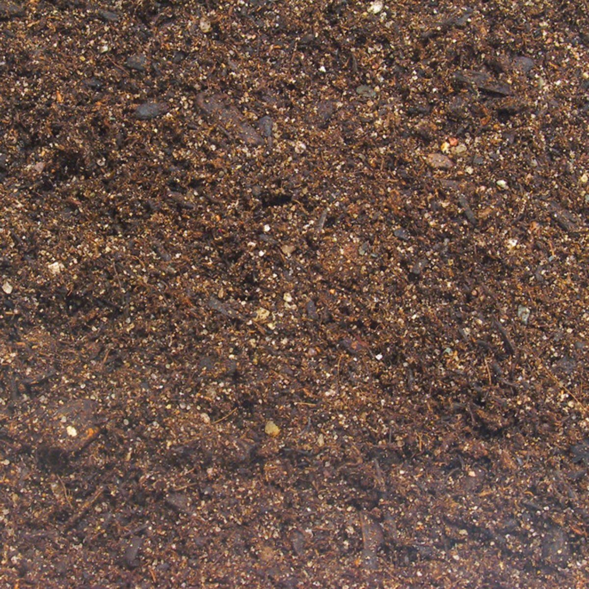 JBL GmbH & Co. KG Terrarien-Substrat TerraBasis Inhalt: 5 l