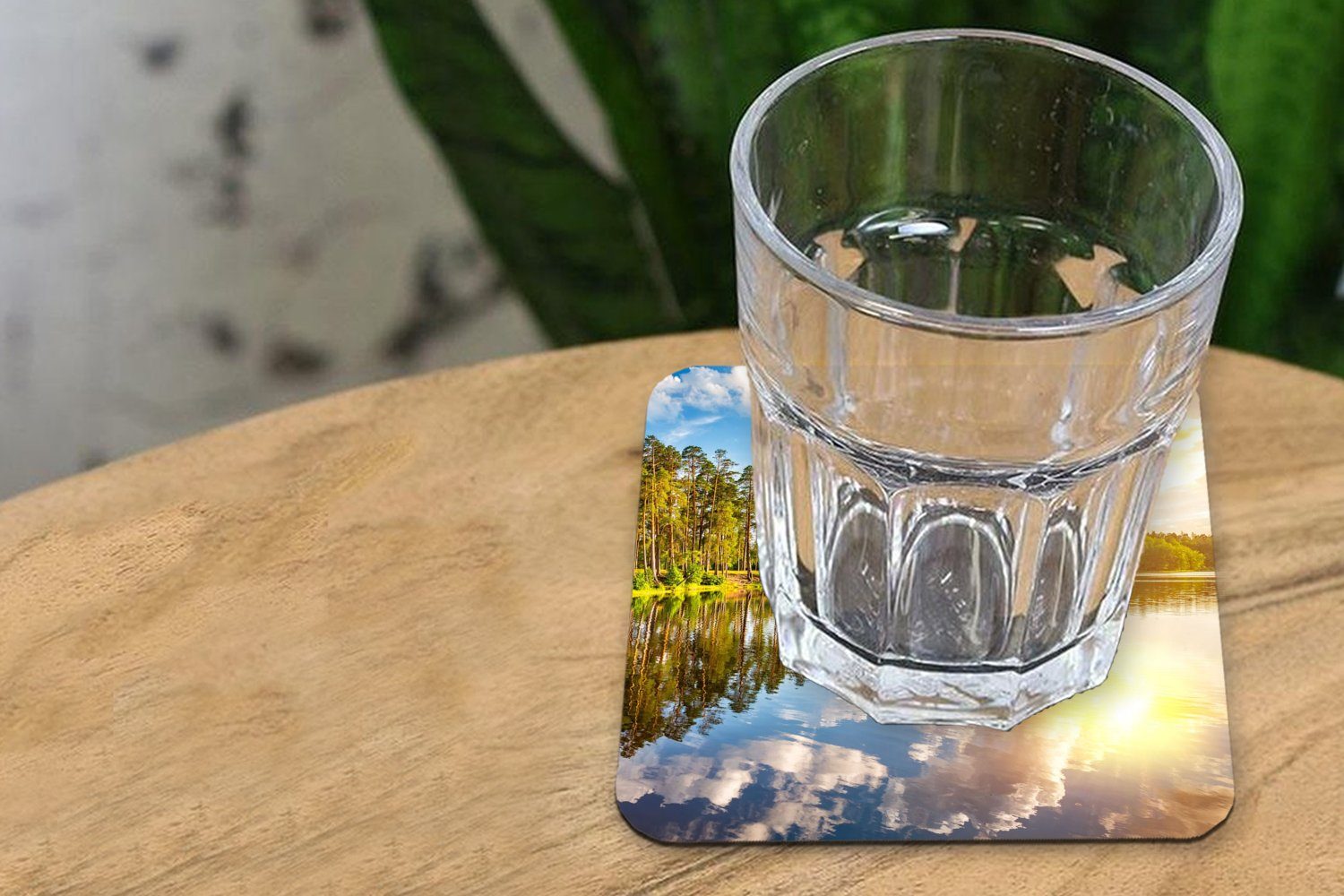 MuchoWow Glasuntersetzer Bäume - Wasser - Tischuntersetzer, Gläser, Korkuntersetzer, Glasuntersetzer, 6-tlg., für Zubehör Sonne, Tasse Untersetzer
