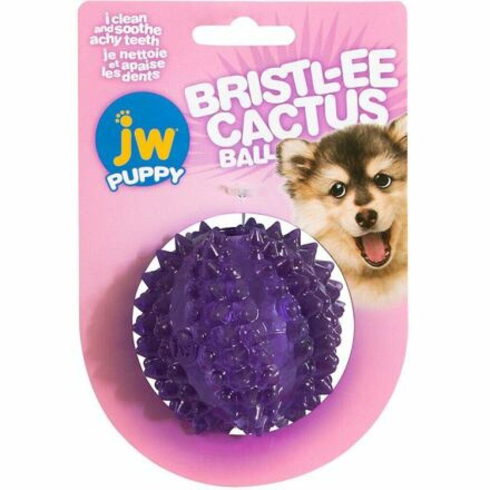 Tierball JW Bristl-ee Kaktus-Ball