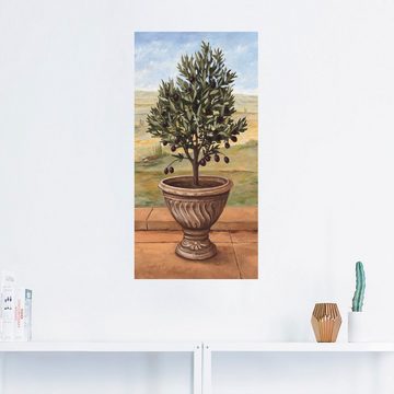 Artland Wandbild Olivenbaum, Pflanzen (1 St), als Alubild, Outdoorbild, Leinwandbild, Wandaufkleber, versch. Größen