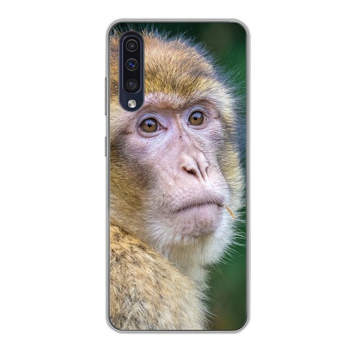 MuchoWow Handyhülle Affen - Tiere - Porträt - Natur Handyhülle Samsung Galaxy A30s Smartphone-Bumper Print Handy