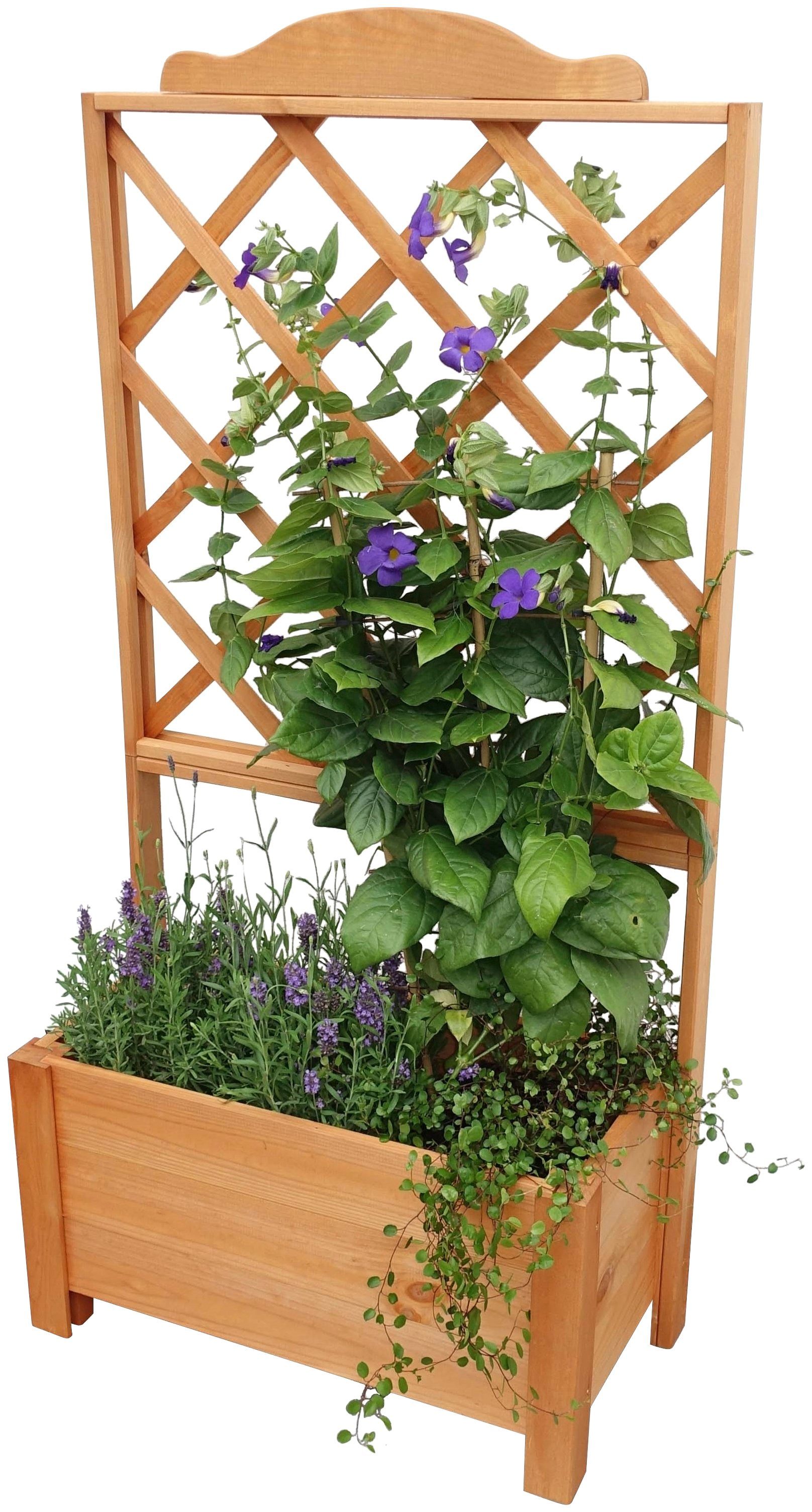 promadino Spalier, mit Pflanzkasten, BxTxH: 69x32x140 cm