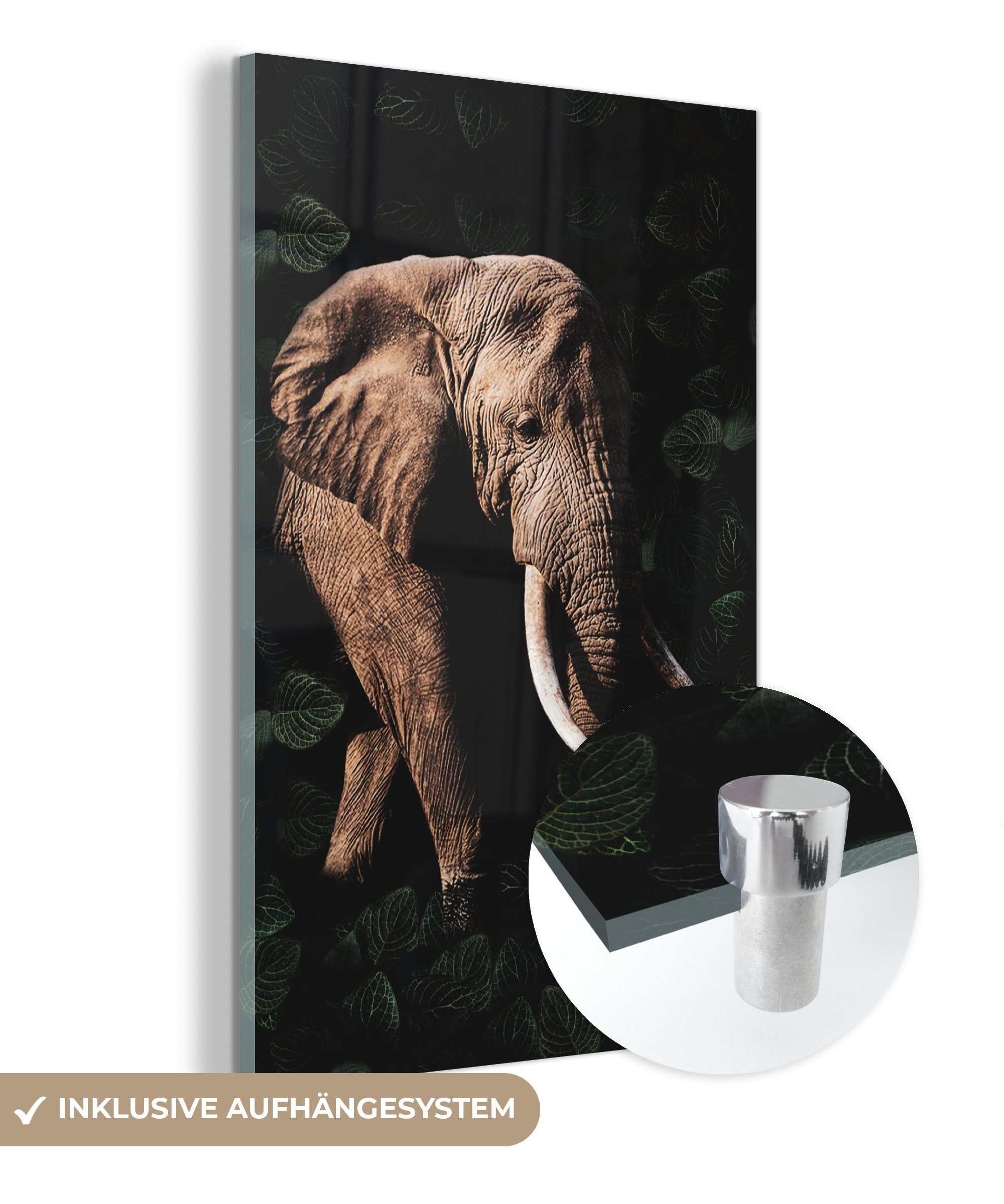 MuchoWow Acrylglasbild Elefant auf bunt - Wandbild (1 Wanddekoration Bilder - St), Glas Dschungel Foto - auf Schwarz, Glasbilder Glas - 