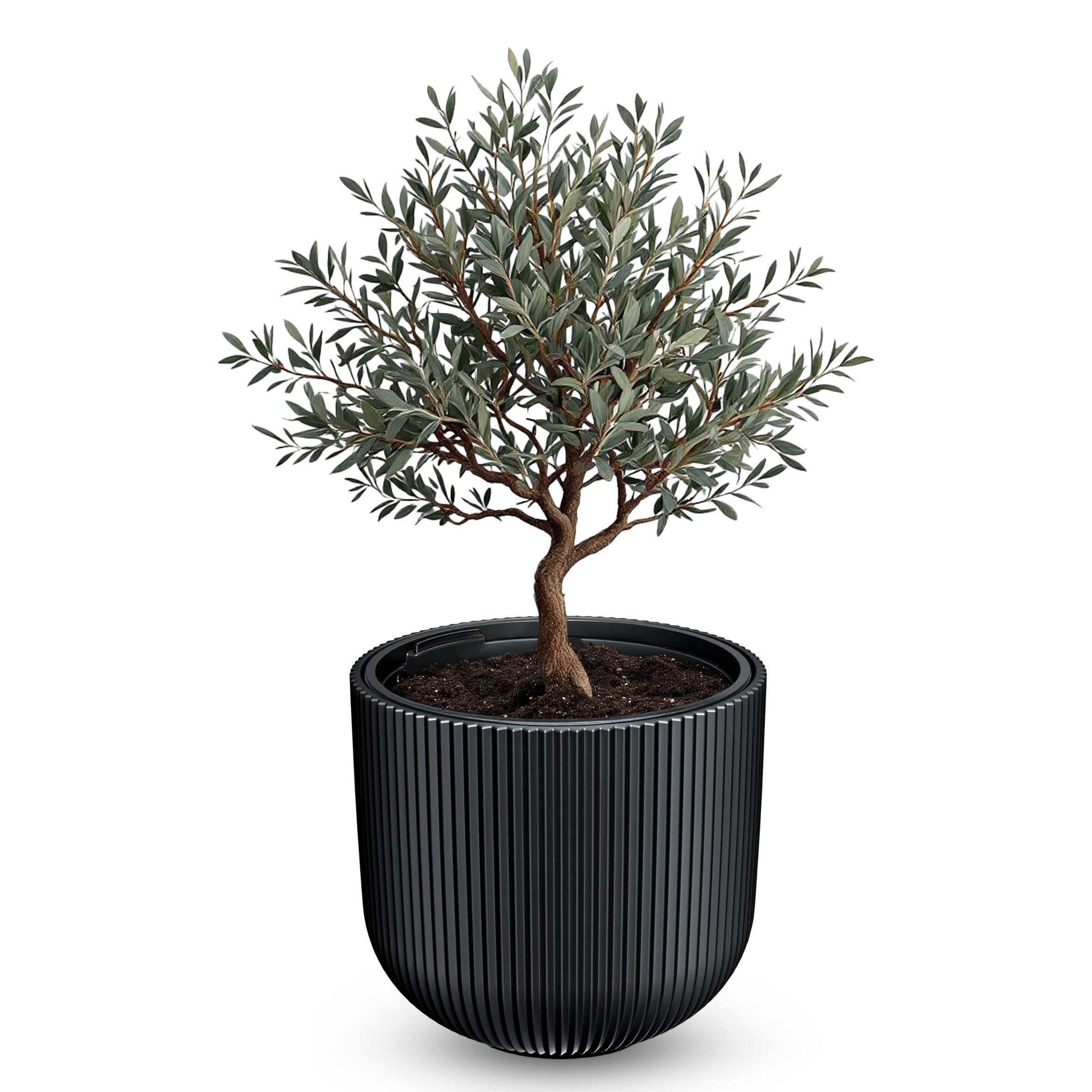 Spetebo Blumentopf Kunststoff Blumentopf rund mit Rillen (Anzahl, 1 St., Stück), mit entnehmbarem Pflanz-Einsatz