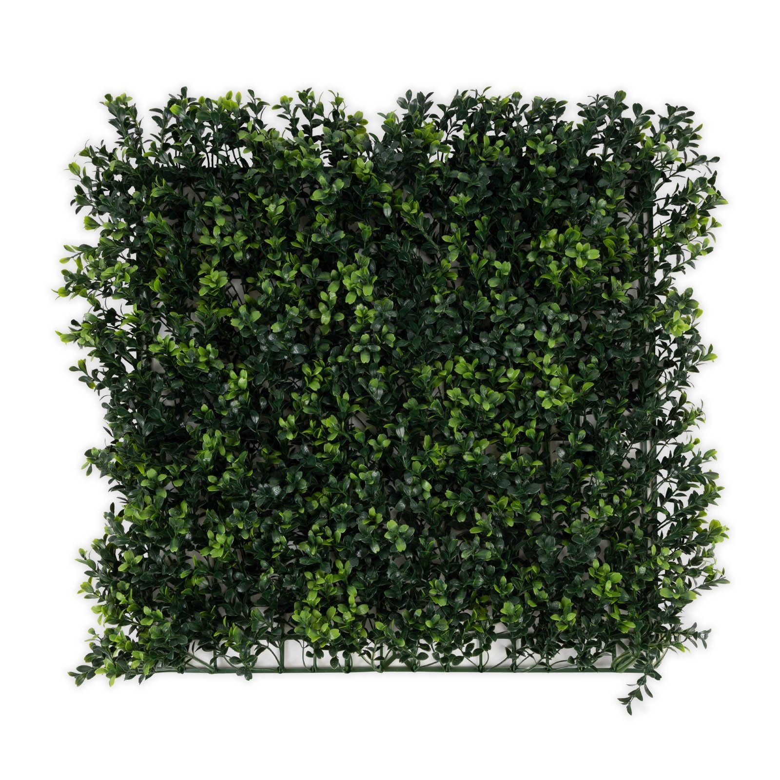 Kunstpflanze Pflanzenwand Boxwood, Karat, UV-beständig günstig online kaufen