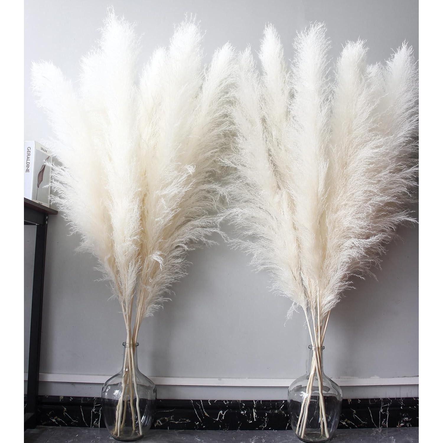 Trockenblume Pampasgras White 115cm 10 Stück Boho Deko Wohnzimmer 120cm-10PCS-B, LuxusKollektion