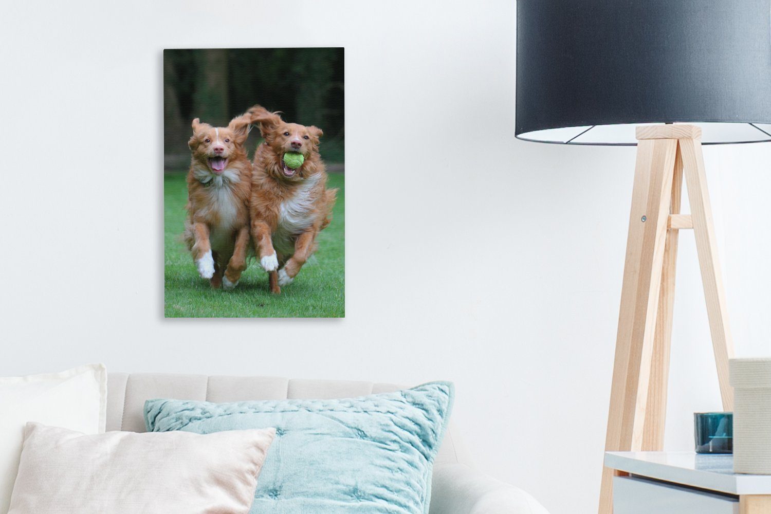 Zackenaufhänger, Hunde 20x30 mit bespannt Leinwandbild St), Leinwandbild spielen inkl. Zwei OneMillionCanvasses® (1 cm Ball, Gemälde, fertig