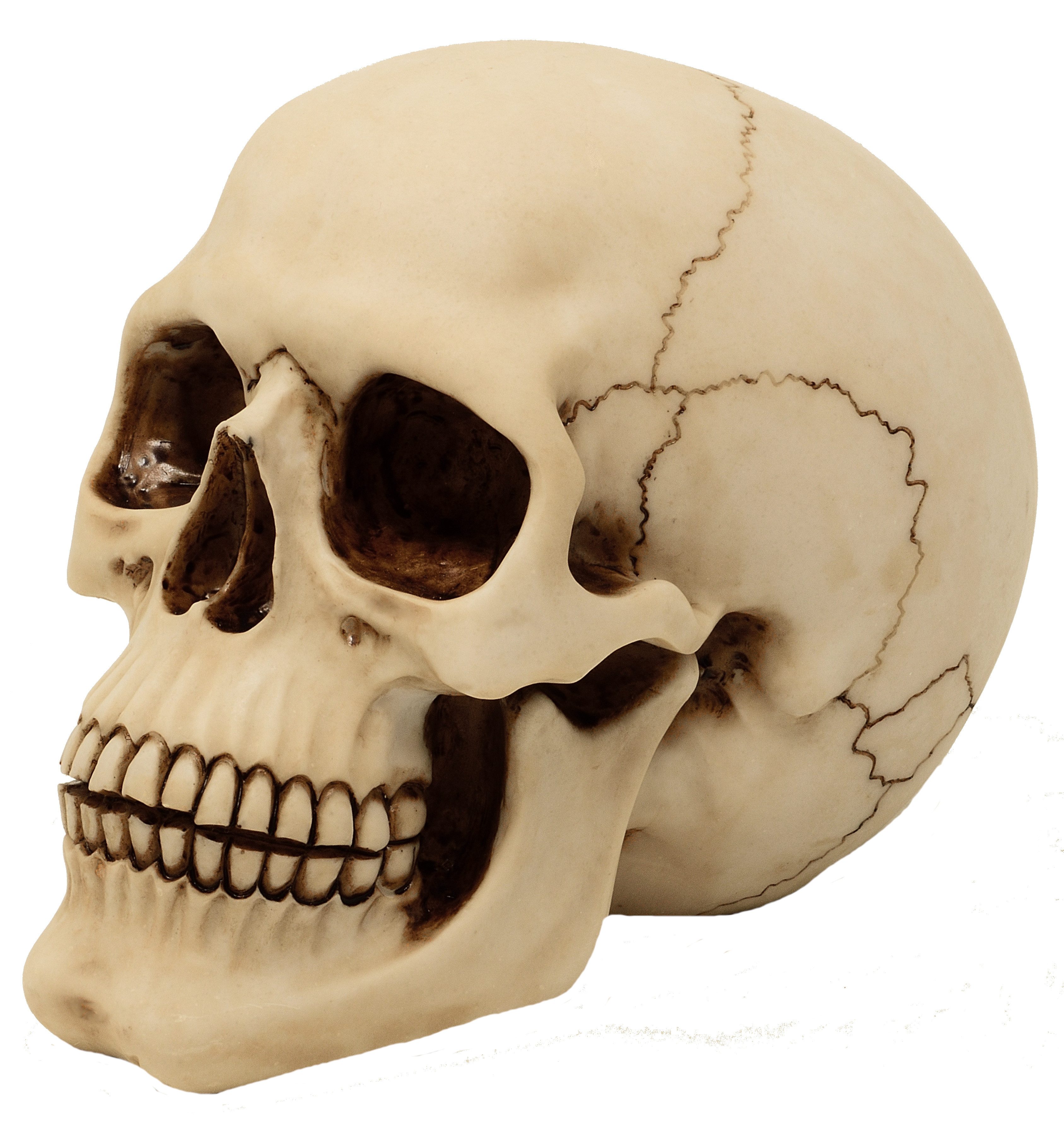 Dekofigur Totenkopf - Gothic Schädel Skull Halloween
