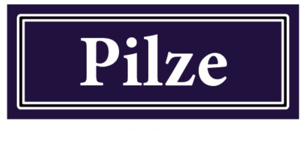 LYSCO Gewürzstreuer Gewürzaufkleber 40x16mm Gewürzetiketten Sticker, blau/weiß, (Aufkleber Etiketten für Gries, Haferflocken, Kaffee, Kakao, Kichererbsen, Linsen, Lupinen, Müsli, Nudeln, Pilze, Puddingpulver, Reis, Tee, Zwieback, 2-tlg), abwischbar, wasserfest, selbstklebend und langanhaltend