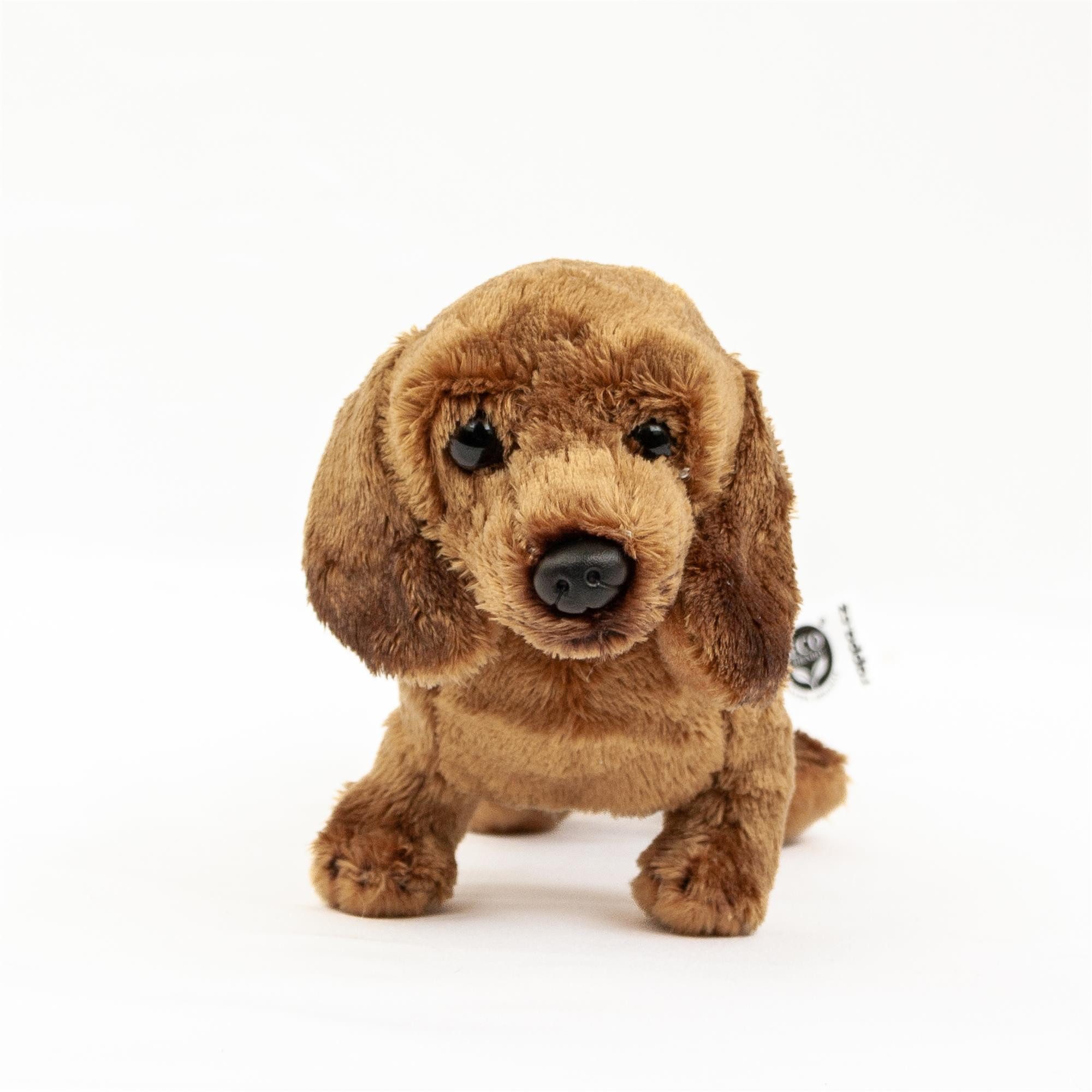 Teddys Rothenburg Kuscheltier Hund Dackel 19 cm hellbraun Plüschhund Stoffdackel (Plüschtier, Stofftier, Stoffhund, Plüschdackel)