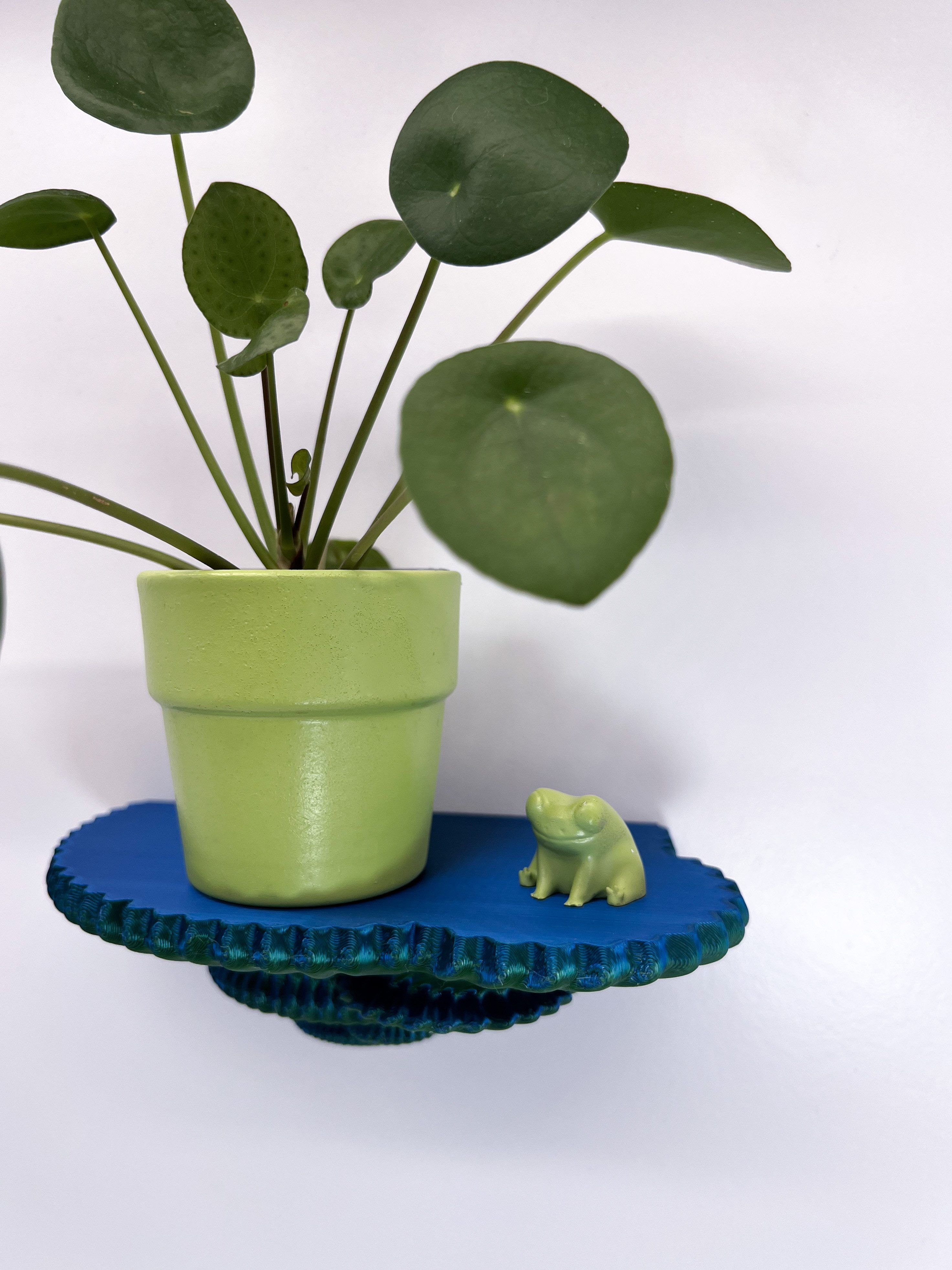 Roomberry Deko-Wandregal Schwebendes Beerenpilz Wandregal – günstig online kaufen