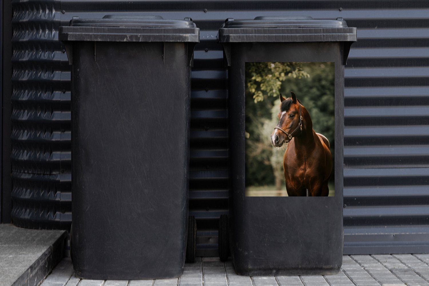 Container, Porträt Pferd - St), MuchoWow Abfalbehälter Sticker, Mülleimer-aufkleber, Wandsticker Äste Mülltonne, - (1