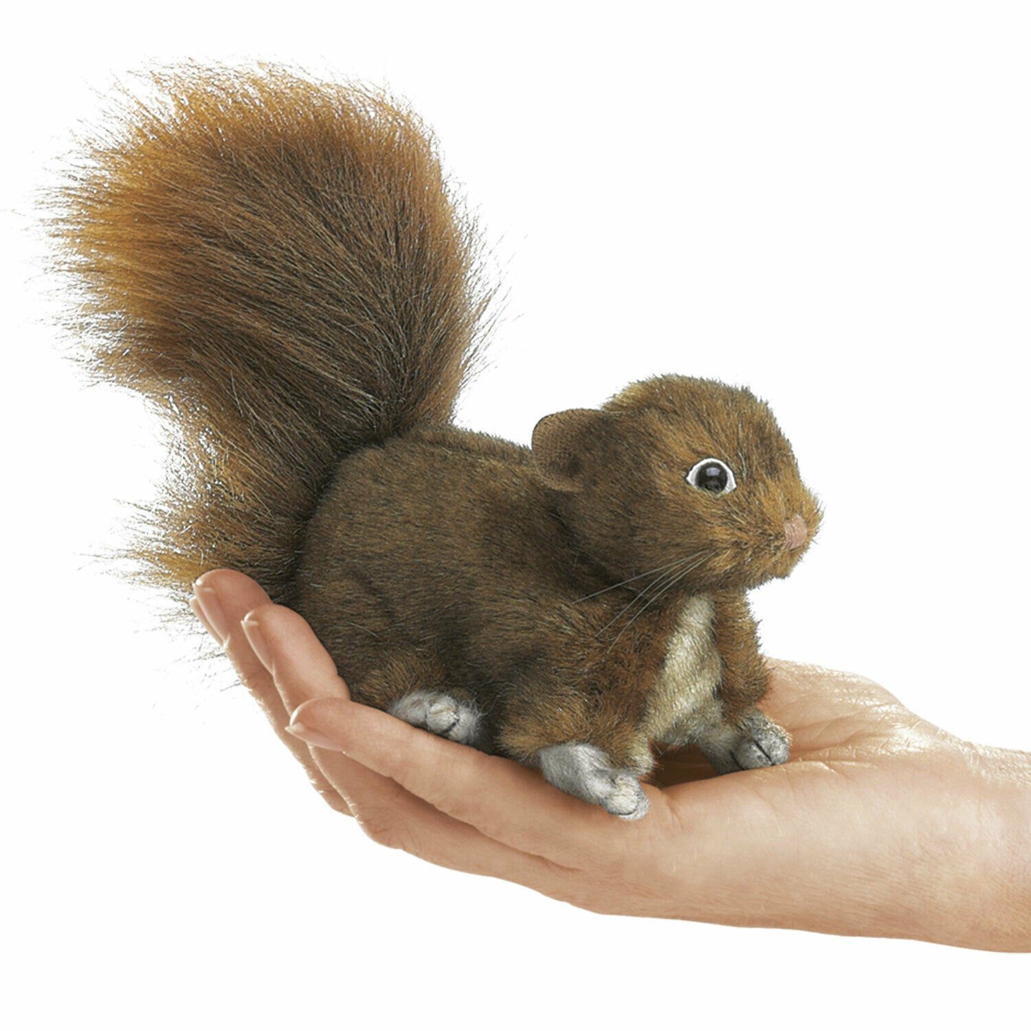 Folkmanis Панч и Джуди Fingerpuppe Folkmanis Fingerpuppe mini Eichhörnchen 2735 (Packung)