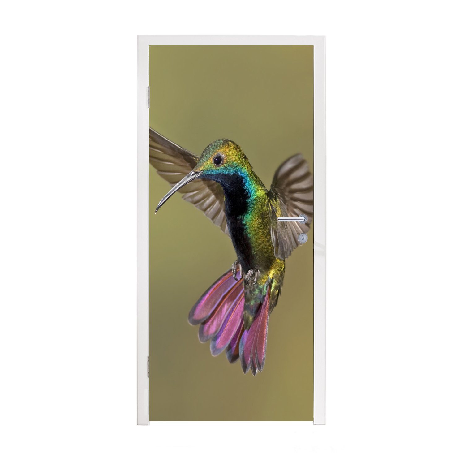 MuchoWow Türtapete Kolibri - Grün - Lila, Matt, bedruckt, (1 St), Fototapete für Tür, Türaufkleber, 75x205 cm