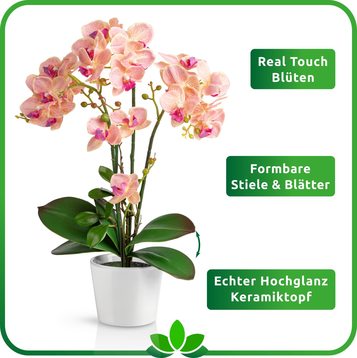 Kunstorchidee PASCH® Orchidee künstlich wie echt (46cm) in Hochglanz-Keramiktopf Orchidee, PASCH, Real Touch – Bild 3 von 5