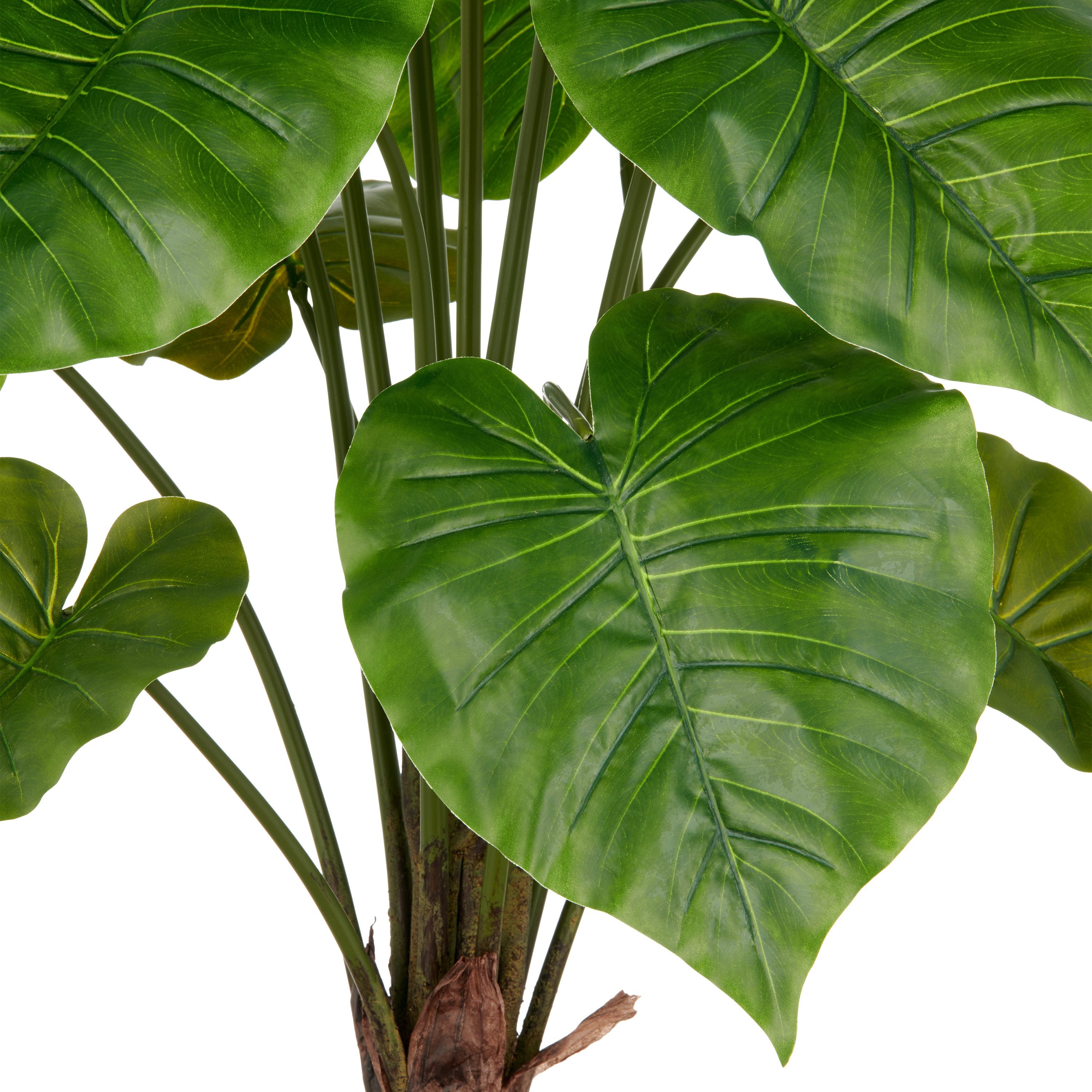 Kunstpflanze Alocasia Wentii, Creativ green, Höhe 100 cm, mit naturgetreuem günstig online kaufen