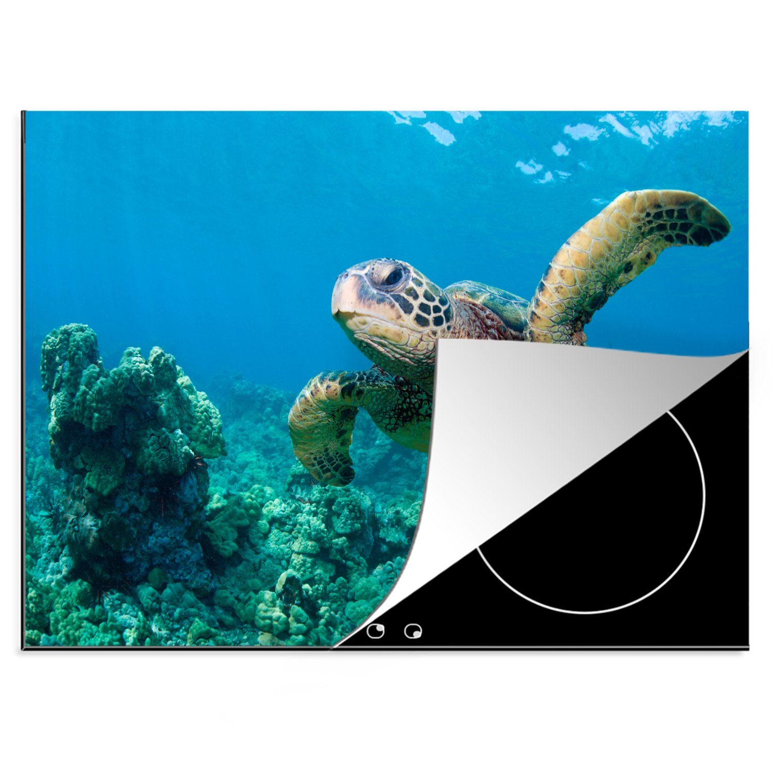 MuchoWow Herdblende-/Abdeckplatte Eine grüne Meeresschildkröte schwimmt über einem wunderschönen, Vinyl, (1 tlg), 70x52 cm, Mobile Arbeitsfläche nutzbar, Ceranfeldabdeckung