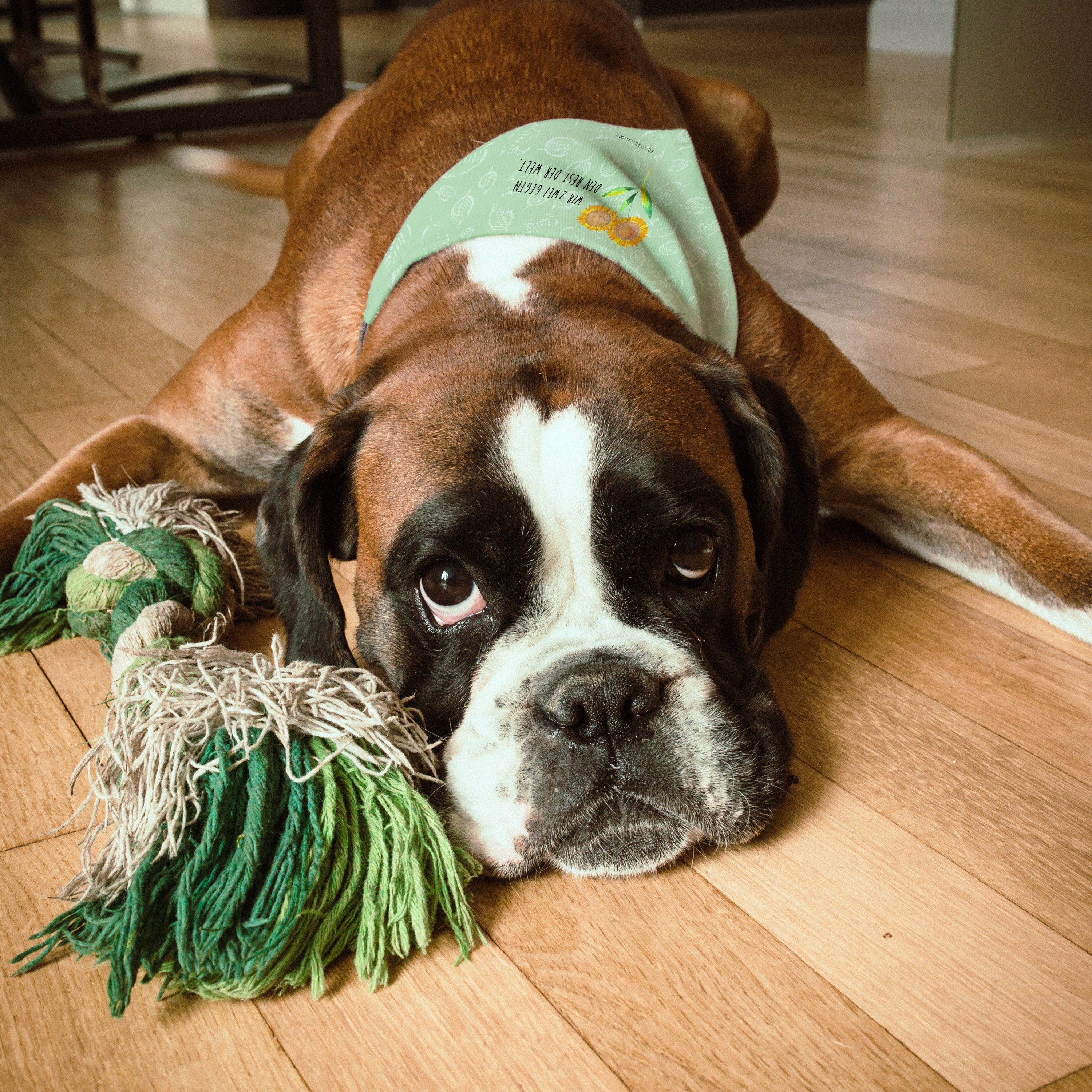 Mr. & Mrs. Panda Hundefliege Blume Sonnenblume, Hundehalstuch L, Blattgrün, Halstuch Für Hunde, Fr, Polyester