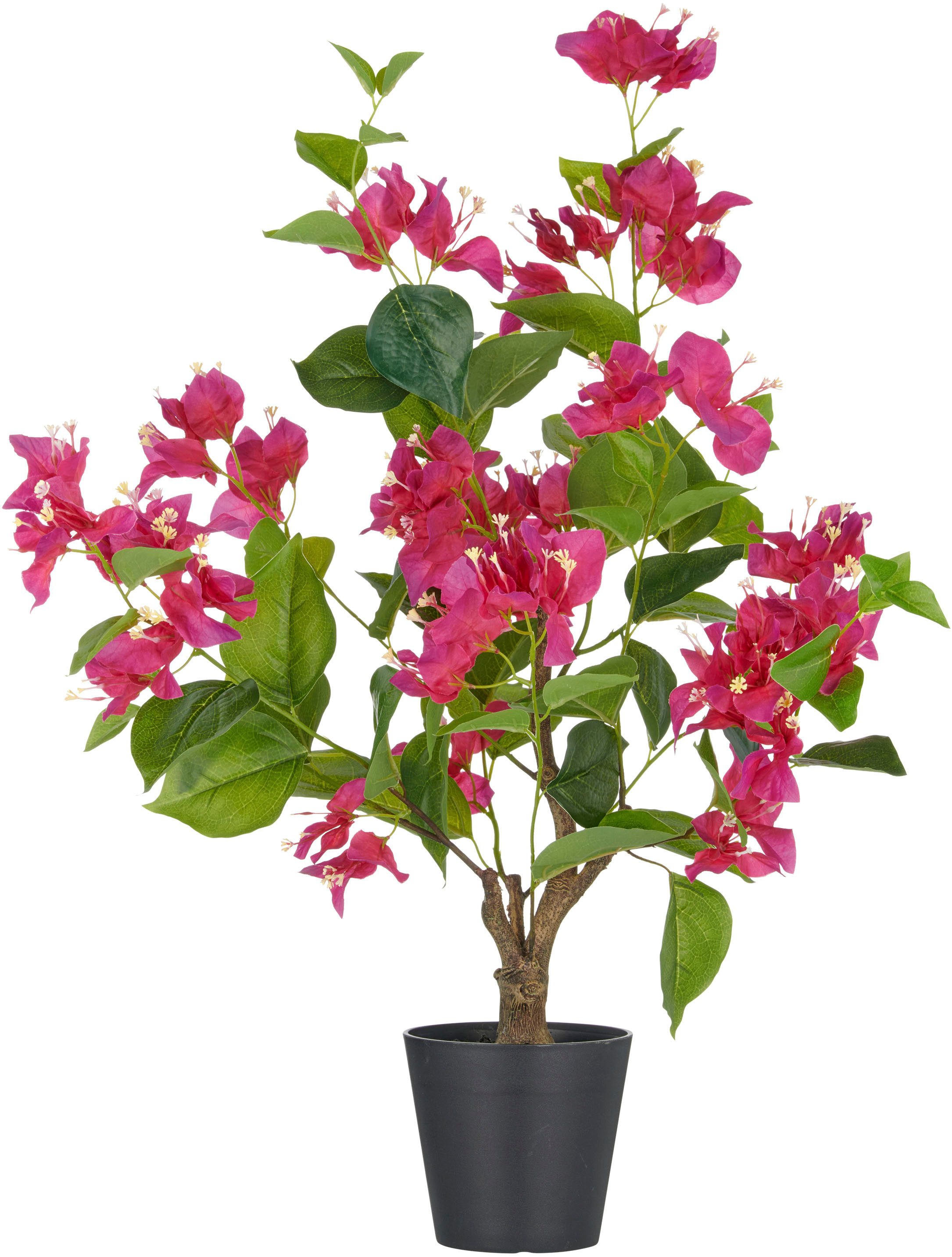 Kunstpflanze Bougainvillea, Creativ green, Höhe 68 günstig online kaufen