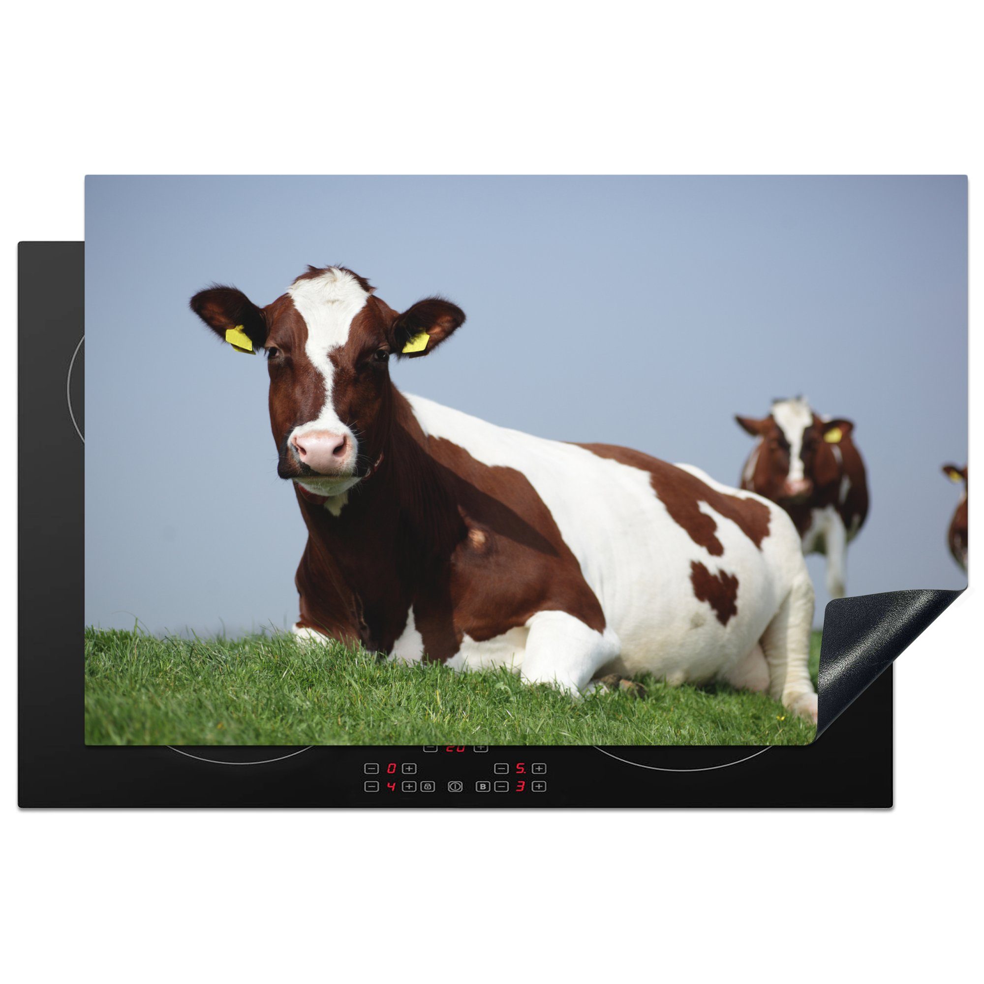 MuchoWow Herdblende-/Abdeckplatte Kühe - die für tlg), - 81x52 (1 küche, Friesland, Schutz Gras Ceranfeldabdeckung Vinyl, cm, Induktionskochfeld
