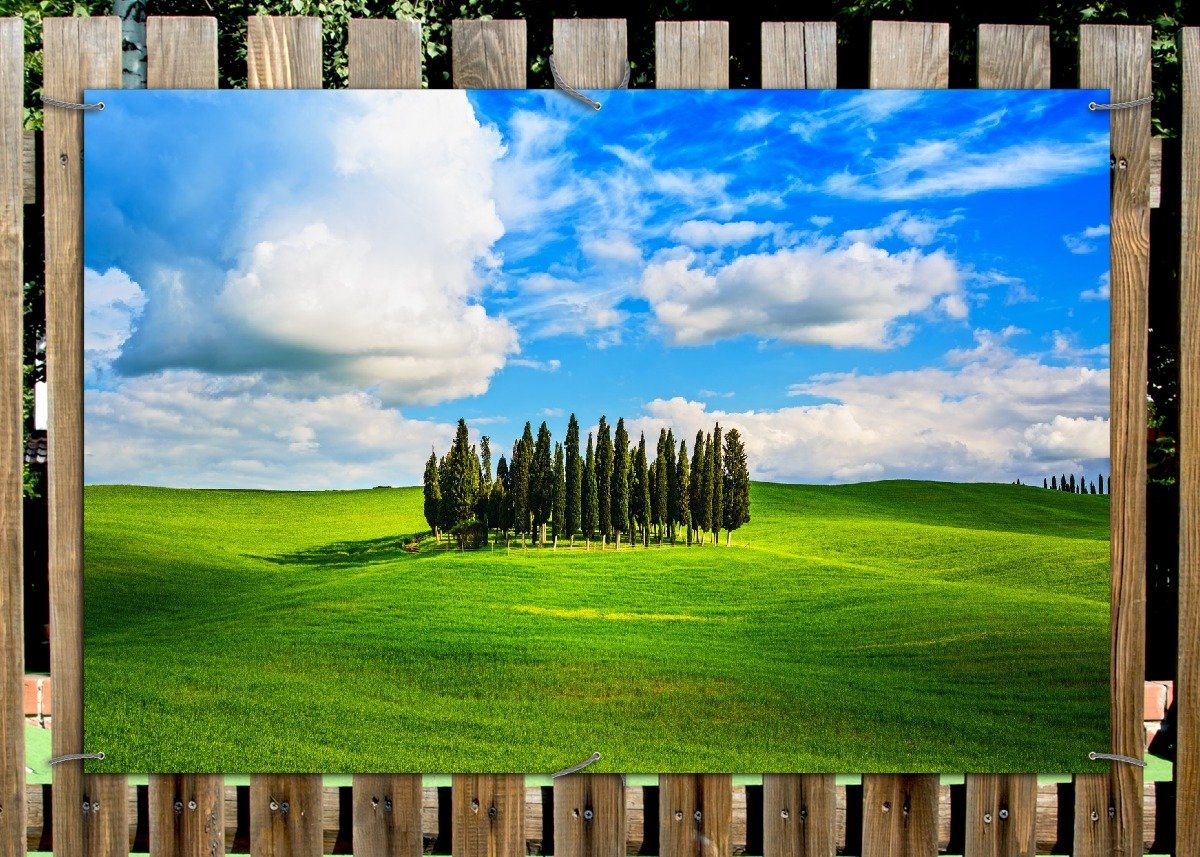 Thumbnail - Wallario Sichtschutzzaunmatten Kleiner Wald inmitten einer weiten Wiese