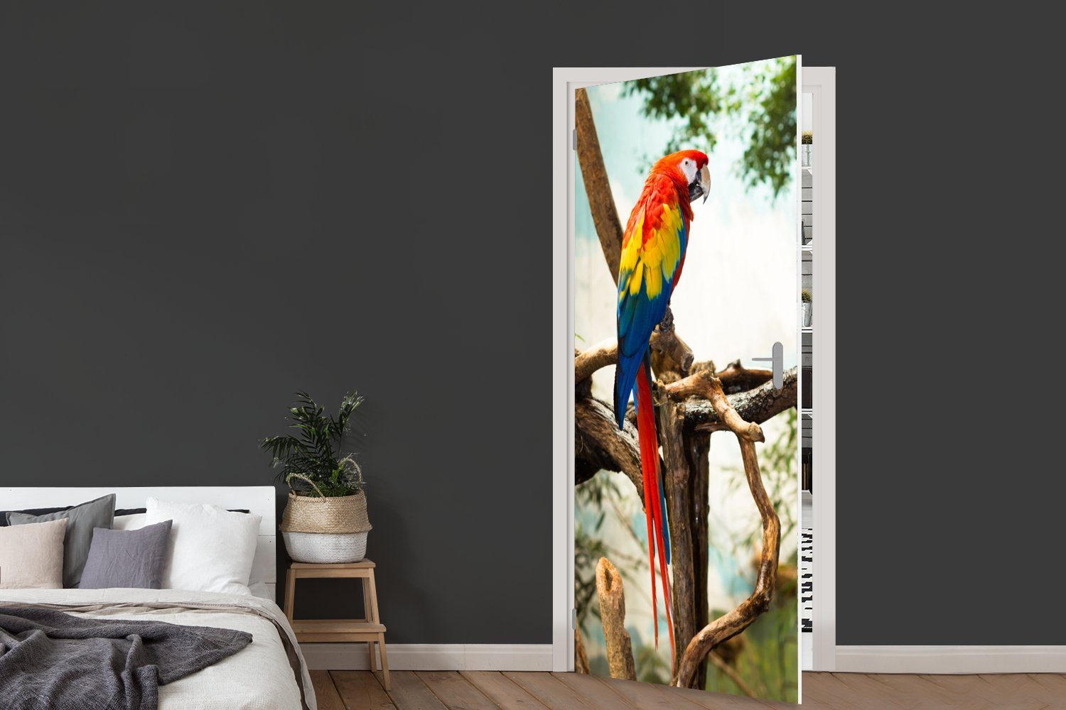 Matt, Fototapete bedruckt, Tür, Türaufkleber, 75x205 - für Türtapete (1 MuchoWow Tropisch, Regenbogen - cm Papagei - Vogel St),