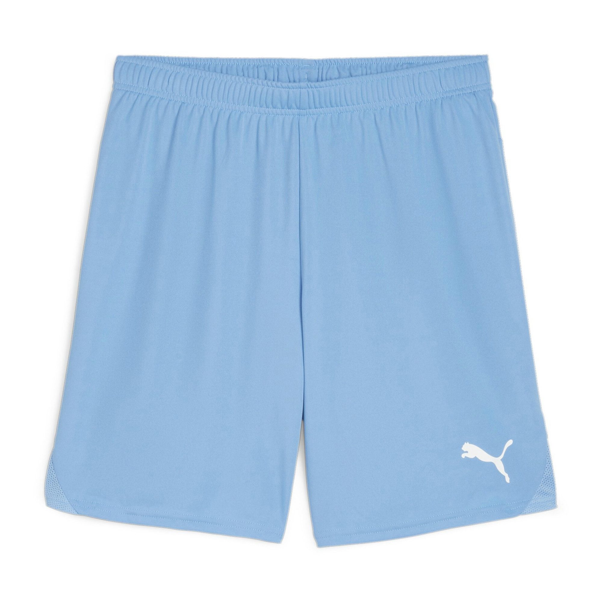 PUMA Trainingsshorts Puma Herren Short teamGOAL Shorts 705752