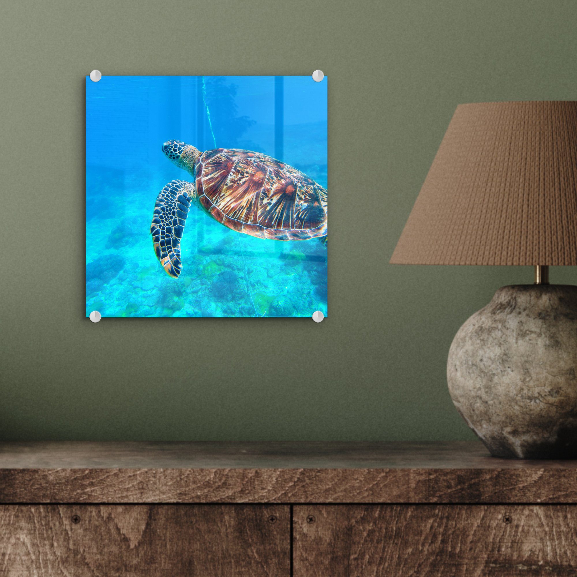 MuchoWow Acrylglasbild Schildkröte - - Glas Glasbilder (1 Blau, Wandbild - St), auf Glas - Meer auf Wanddekoration - Bilder Foto