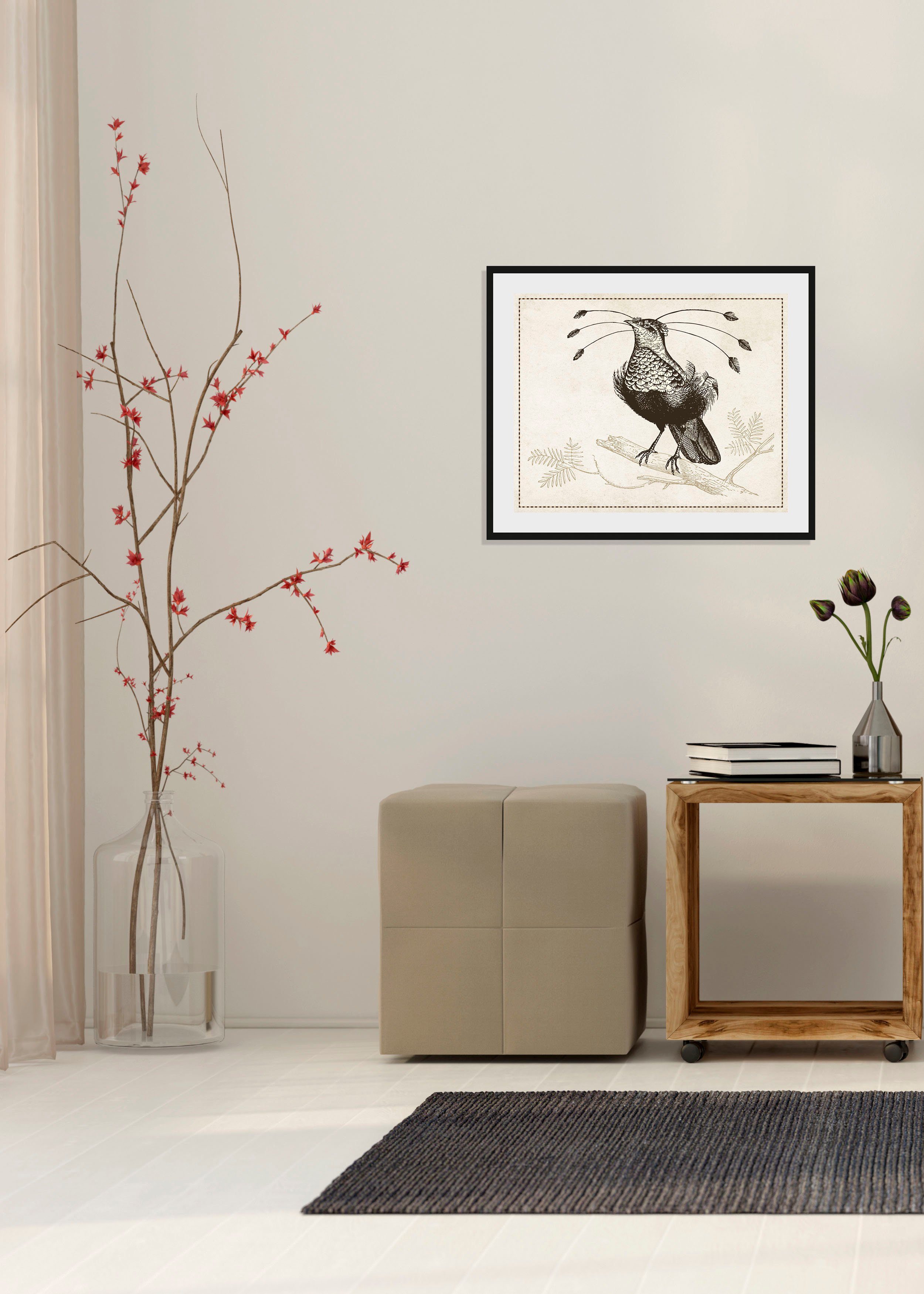 queence Bild Ann-Sophie, Kunst, Vogelbilder, Vögel, historische Ereignisse (1 St), HD Premium Poster-Druck inkl. Holzrahmen
