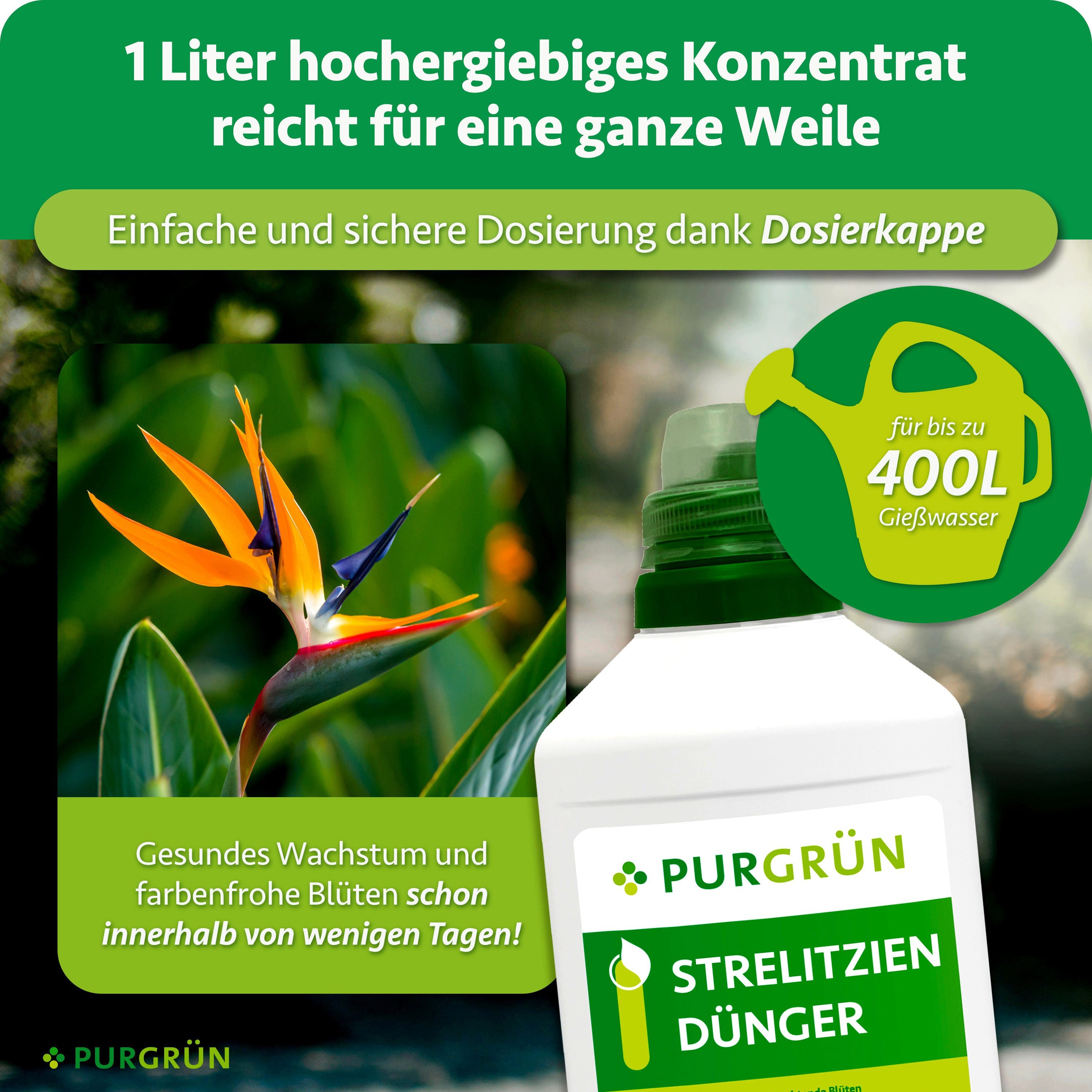 Purgrün Blumendünger Strelitzien Dünger, NPK 10+8+6, für prächtige Blüten, 1L, Flüssigdünger, 1-St., 1 Liter – Bild 4 von 5